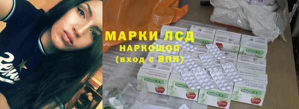 прущие грибы Пересвет