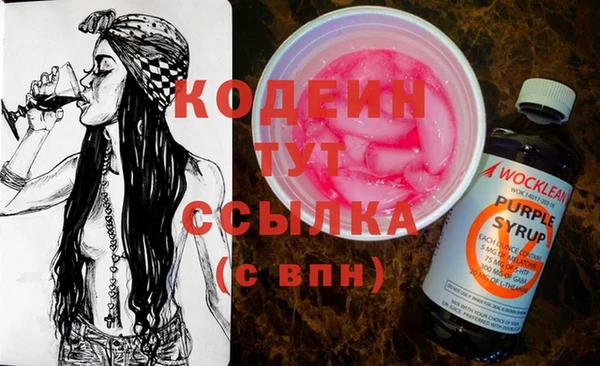 прущие грибы Пересвет