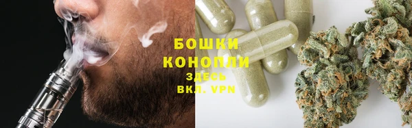 прущие грибы Пересвет
