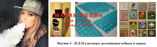 амф Пестово