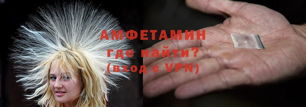 прущие грибы Пересвет