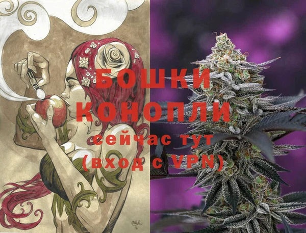 прущие грибы Пересвет