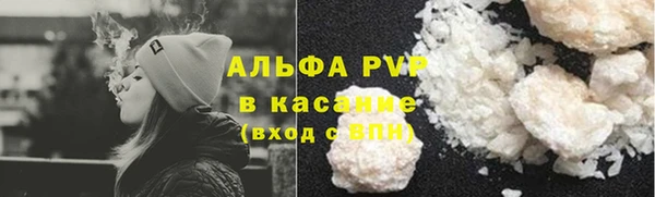 амф Пестово