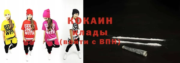 прущие грибы Пересвет