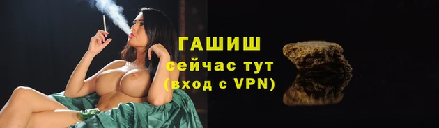 прущие грибы Пересвет
