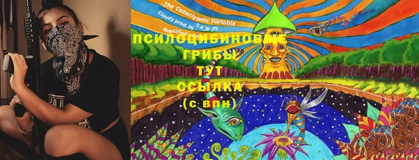 амф Пестово