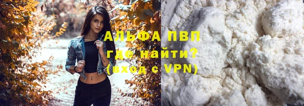 прущие грибы Пересвет