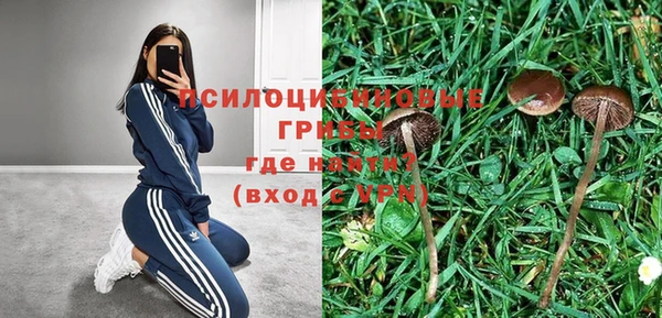 мдма Переславль-Залесский