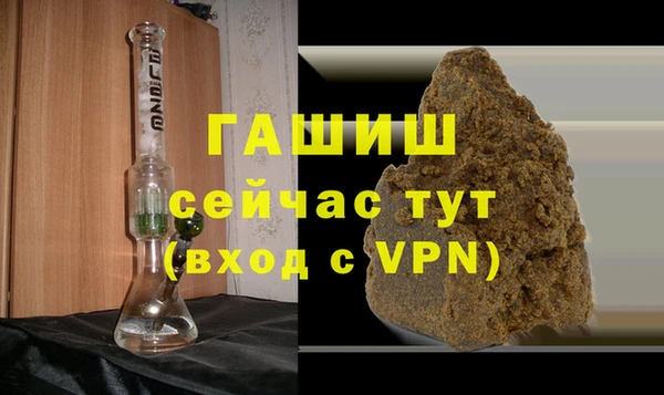 гидра Анжеро-Судженск