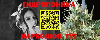 спиды Обь