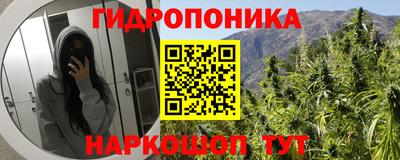 спиды Обь