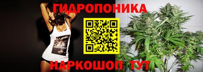 прущие грибы Нягань
