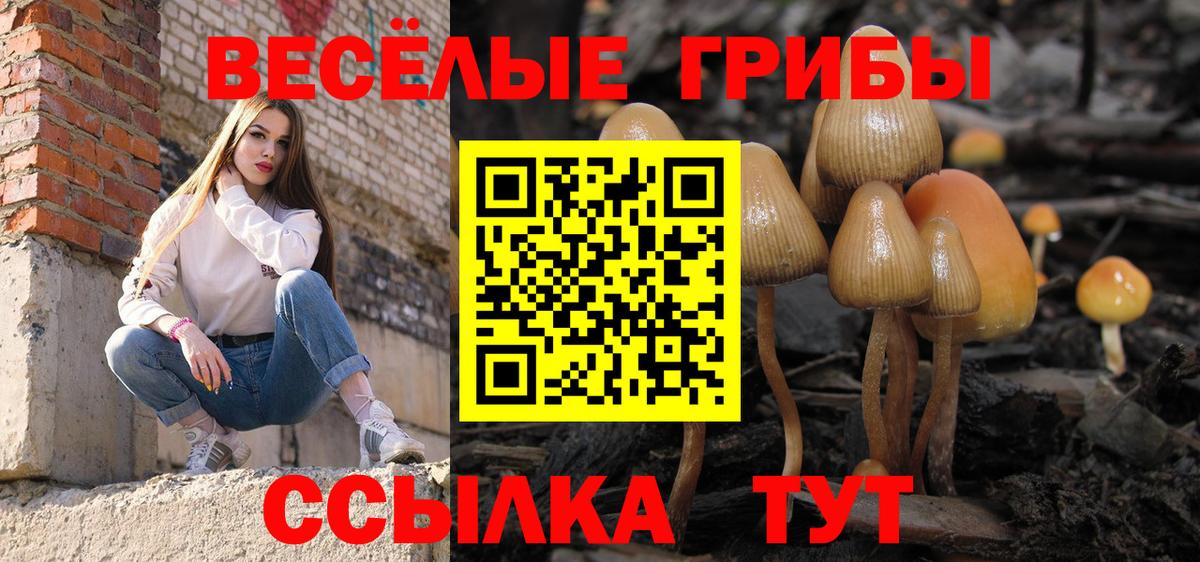 Галлюциногенные грибы GOLDEN TEACHER Таганрог