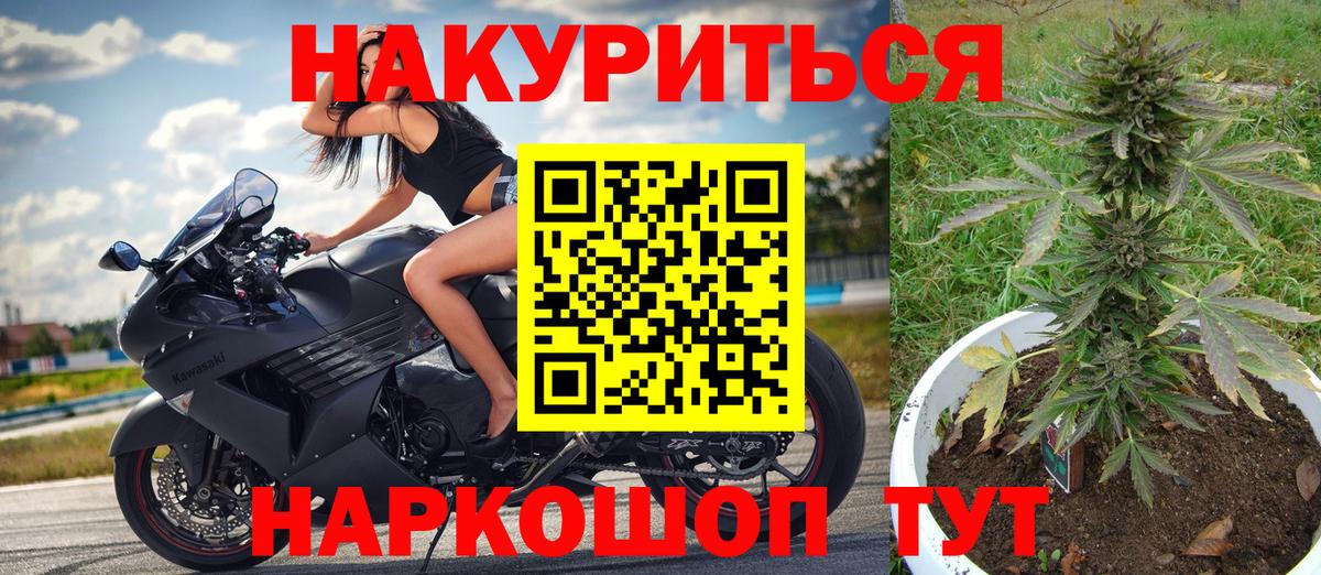 Бошки Шишки марихуана Таганрог